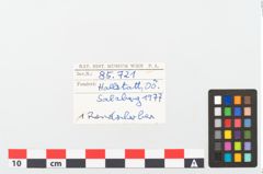 Foto von Keramikgefäß (NHMW-PRAE-085721)